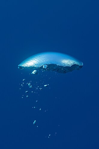 Bubble off