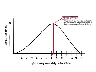 Rate of reaction