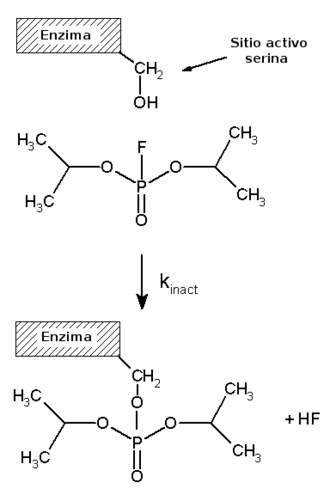 Reversible reaction