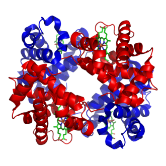 Haemoglobin