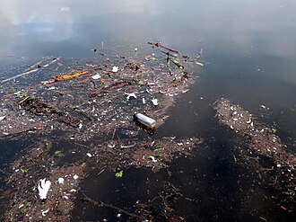 contaminate