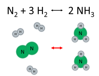 The Haber Process